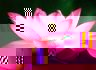 Reiki_Flower