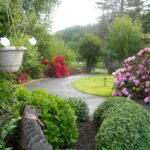 Reiki Ranch flowers along the driveway 