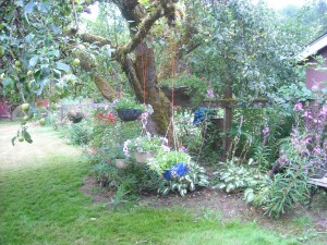 The apple tree at the Reiki Ranch training classes